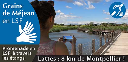 Sur smartphone : d&eacute;couverte en LSF &agrave; travers les &eacute;tangs.